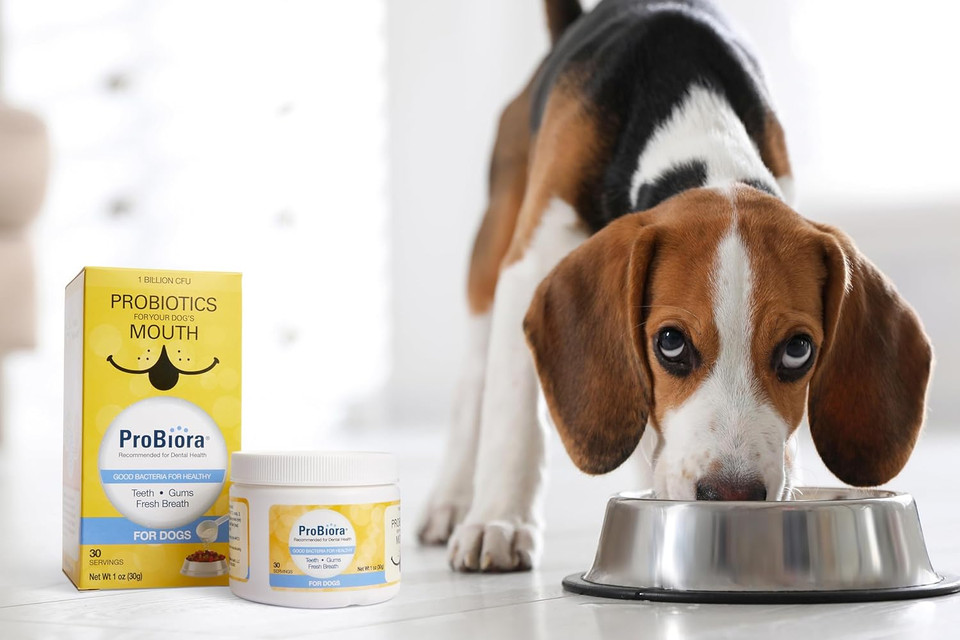 Probiora For Dogs | Dog Probiotic Supplement For Oral Care | Pet Probiotics To Reduce Bad Breath | Dog Nutritional Supplement For Dental Health | 30 Servings (Jar)
