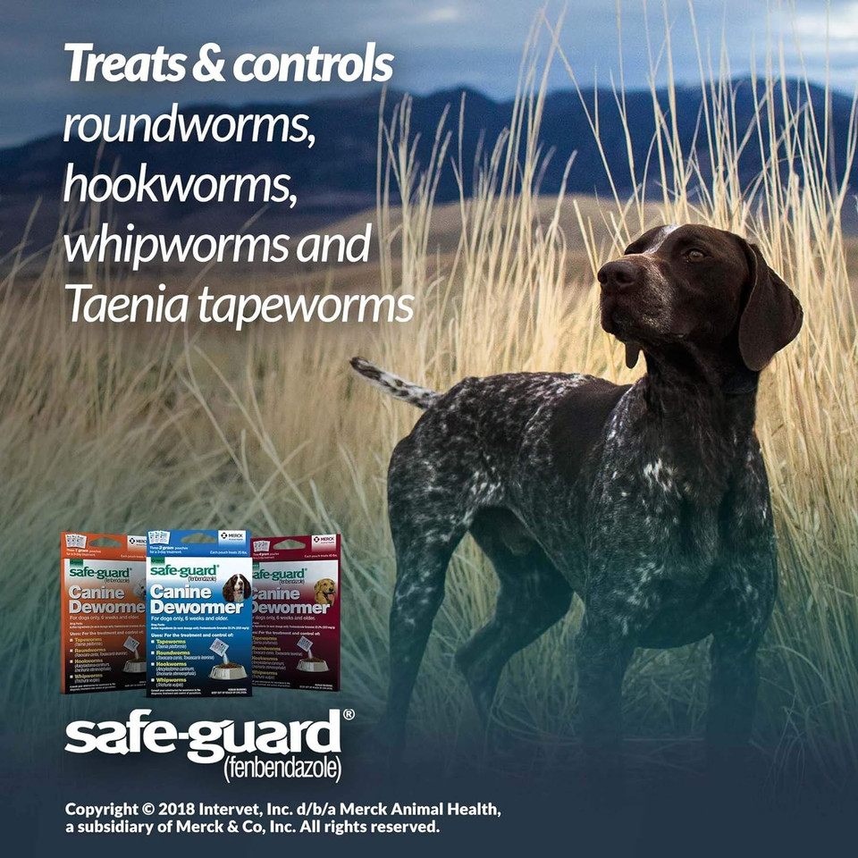 Safe-Guard (fenbendazole) Canine Dewormer for Dogs, 1gm pouch (ea. pouch treats 10lbs.)