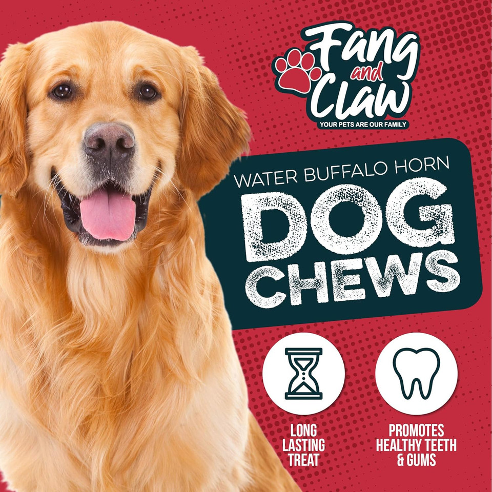 Water Buffalo Horn Dog Chew 4 Pack - Medium 6" - All Natural Free Range Grass Fed Single Source Protein - No Chemicals, Additives, Hormones - Long Lasting, Good For Aggressive Chewers  By Fang & Claw