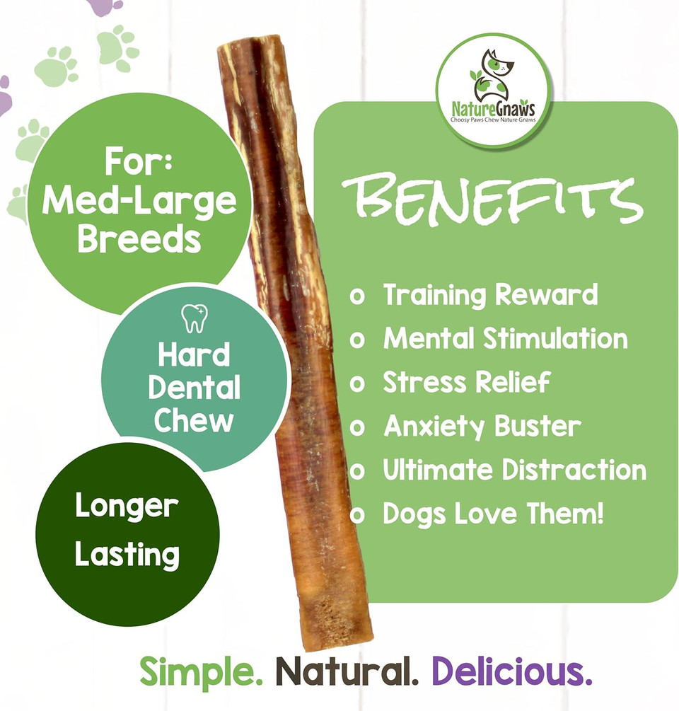 Nature Gnaws Extra Large Bully Sticks For Dogs - Premium Natural Beef Dental Bones - Thick Long Lasting Dog Chew Treats For Aggressive Chewers - Rawhide Free 6 Count (Pack Of 1)