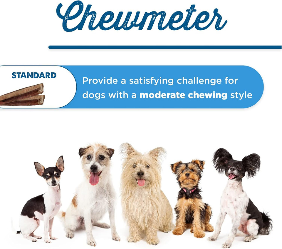 Best Bully Sticks Odorless 4-8 Inch Odor-Free Bully Sticks For Dogs - 100% Natural Grass-Fed Beef For Small, Medium, Large Dogs And Puppies - Grain And Rawhide Free Bully Stick Dog Chews | 8 Oz