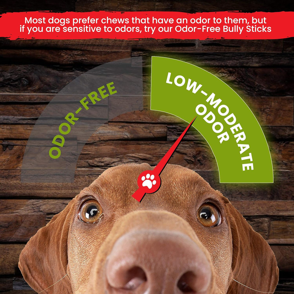 Sancho & Lola'S 6-Inch Jumbo Bully Sticks For Dogs 5-Count - Grass-Fed Free-Range Grain-Free Beef Pizzle Dog Chews