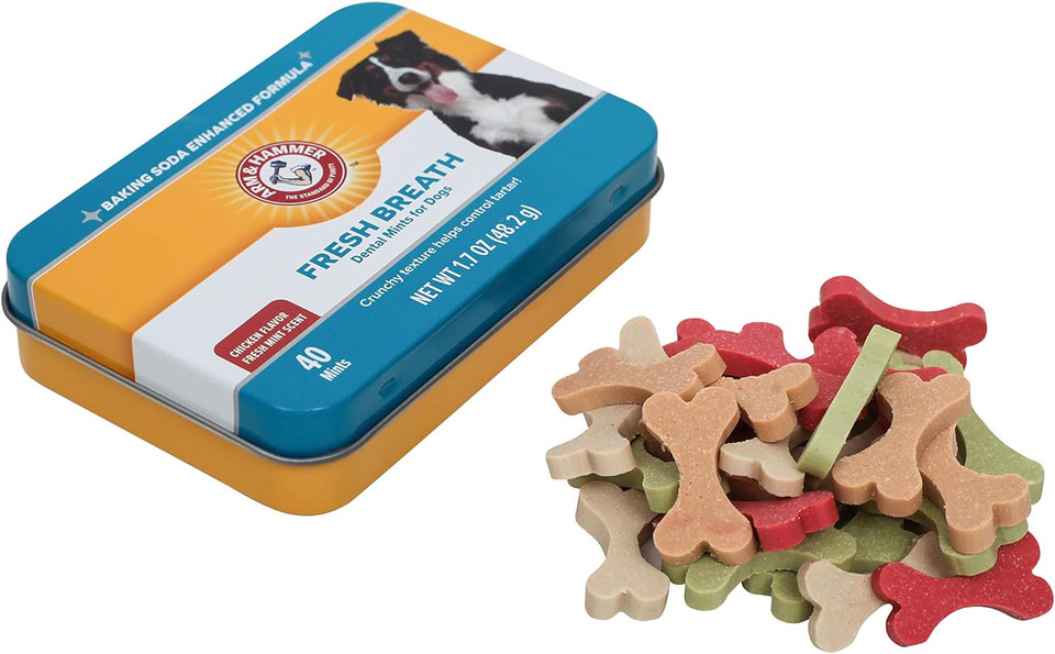 Arm & Hammer For Pets Dental Mints For Dogs, Fresh Breath | Get Fresh Doggie Breath Without Brushing, Way To Fresher Dog Breath | Chicken Flavor, 40 Count - 60 Pack