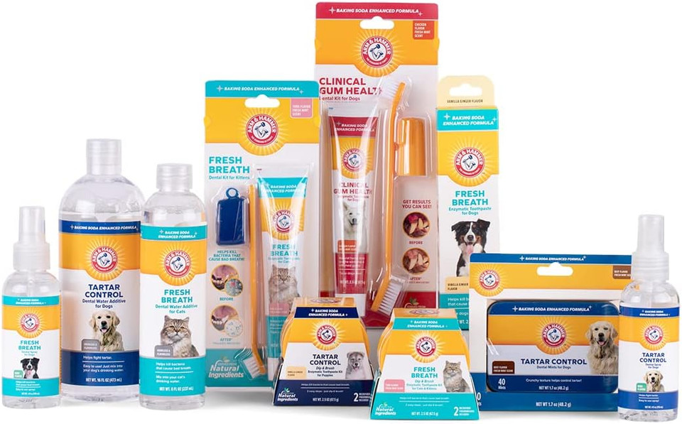 Arm & Hammer For Pets Dental Mints For Dogs, Fresh Breath | Get Fresh Doggie Breath Without Brushing, Way To Fresher Dog Breath | Chicken Flavor, 40 Count - 60 Pack