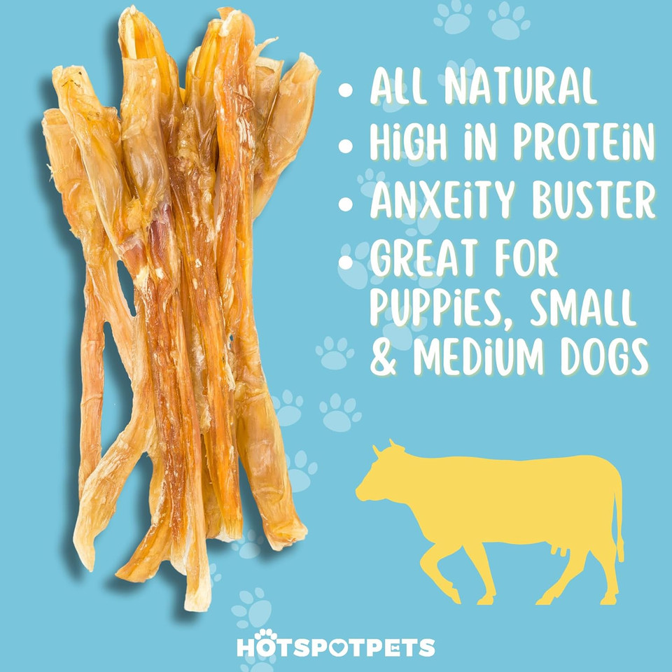 Hotspot Pets Beef Tendon Chews For Dogs - 8 Inch All Natural, Free-Range, Grass-Fed Premium Usda Gambrol Beef Tendon Stick Treats - Made In Usa (1 Pound - Pack Of 1)