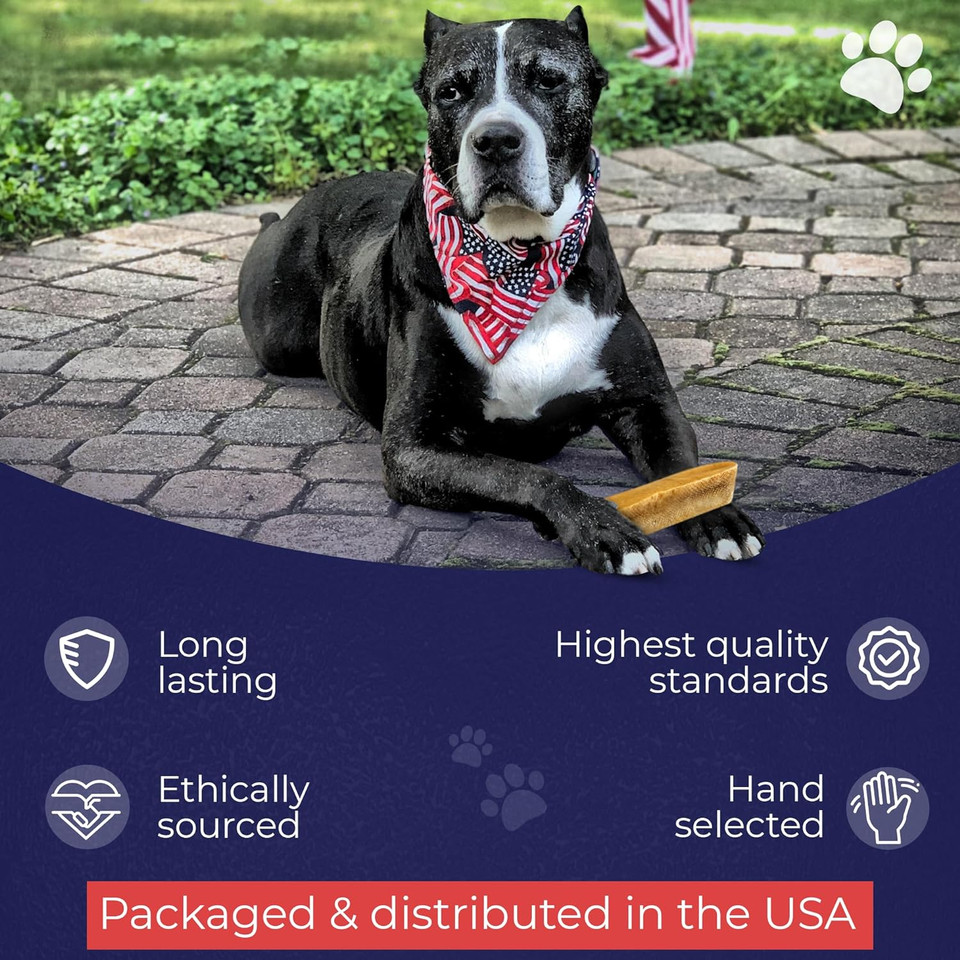 Devil Dog Pet Co. Himalayan Yak Chews  Extra Large 1 Pack, Yak Cheese Dog Chews, 100% Natural & Healthy, Odor Free, Long Lasting, Yak Chew Treats  Premium Yak Milk Dog Chew, Yak Bones For Dogs