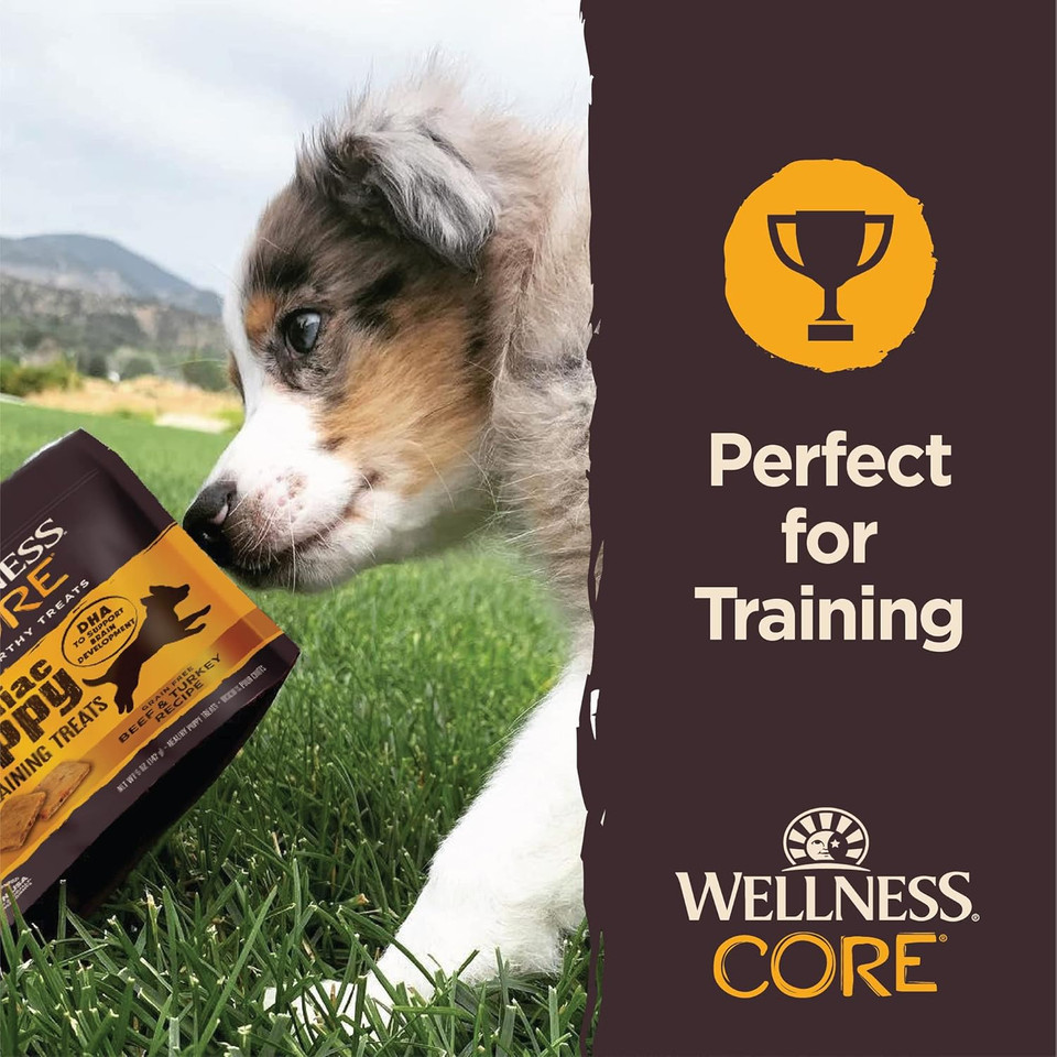 Wellness Core Brainiac Puppy Soft Training Dog Treats (Previously Puppy Bites), Grain Free, Beef & Turkey, 5 Ounce Bag