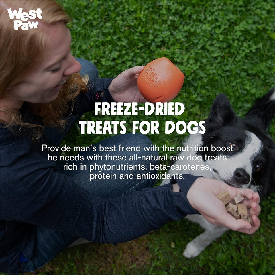 West Paw Freeze-Dried Raw All Natural Dog And Puppy Training Treats, Single Ingredient, Humanely Raised And Sustainably Sourced, Made In Usa, Pork With Superfood, 2 Pack