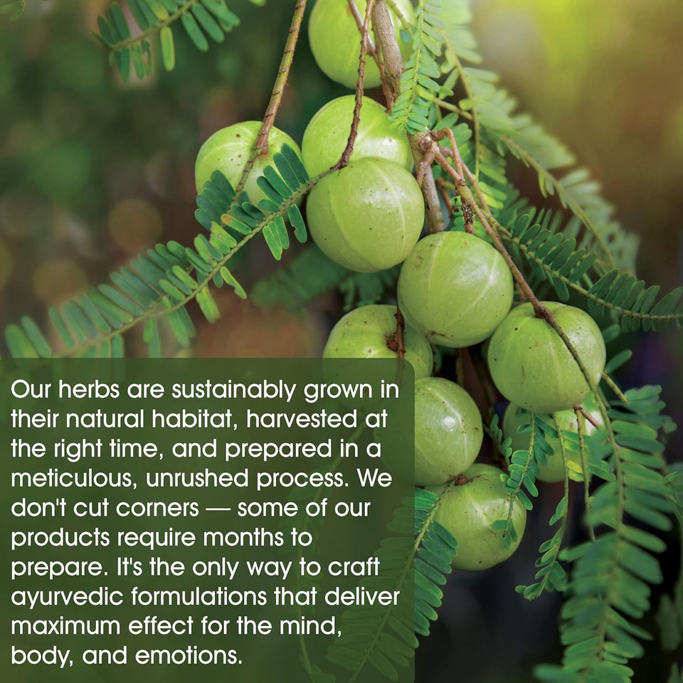 Maharishi Ayurveda - Midlife For Women I Women'S Health Herbal Supplement | Supplementation To Help Hormone Balance For Women | Eliminate Toxins & Nourish The Uterus (60 Tablets - 1000Mg)