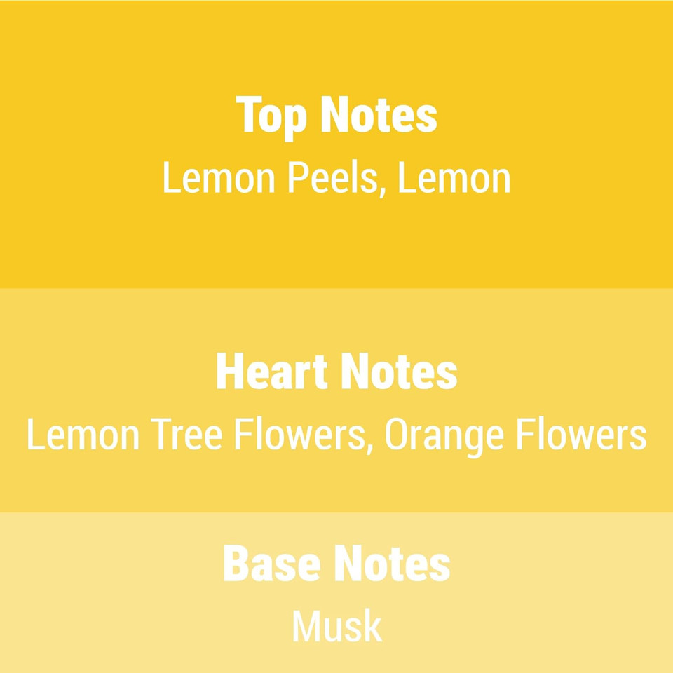 Air Freshener Aerosol, A Great And Magic Fragrance For Home, Office, Car, Bathroom, And Any Room, Odor Eliminato Lemon - 6.25 Fl.Oz