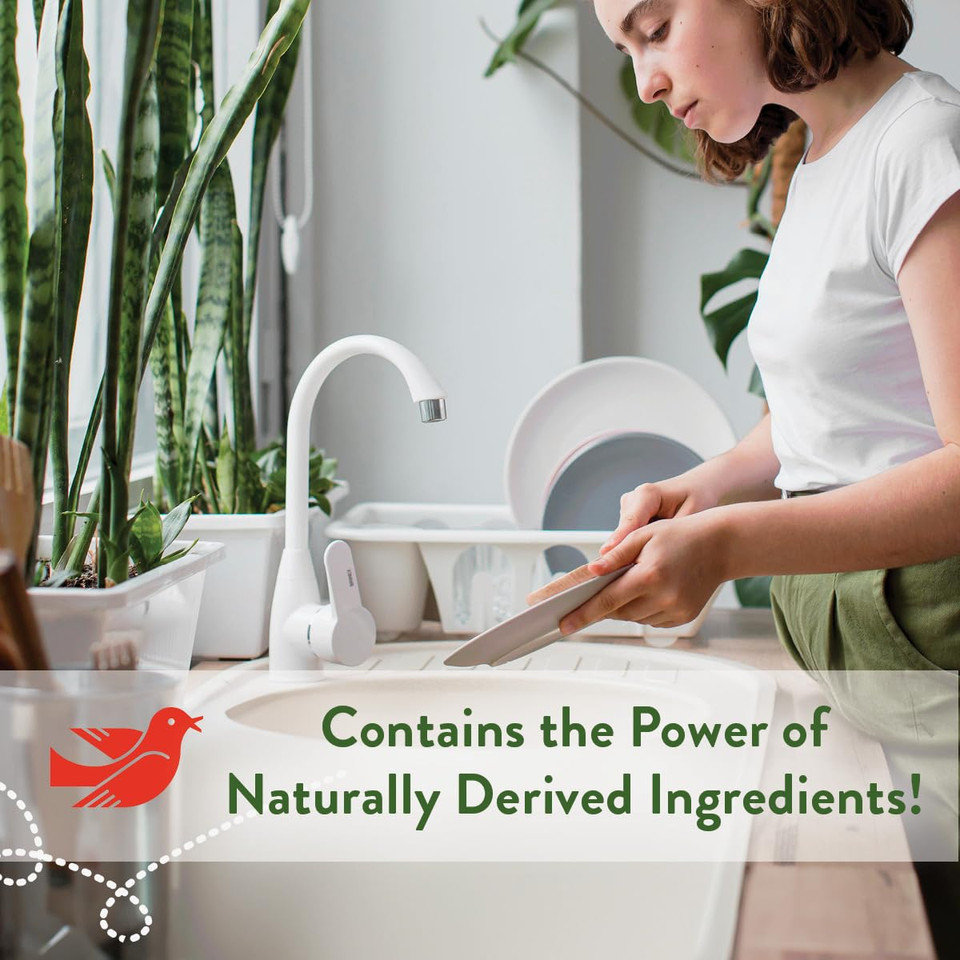 Rebel Green Super Deluxe Dish Soap - Natural Dishwashing Soap - Liquid Dish Detergent - Sustainable Dish Liquid Scented With Peppermint & Lemon - (16 Oz Bottles, 1 Pack)