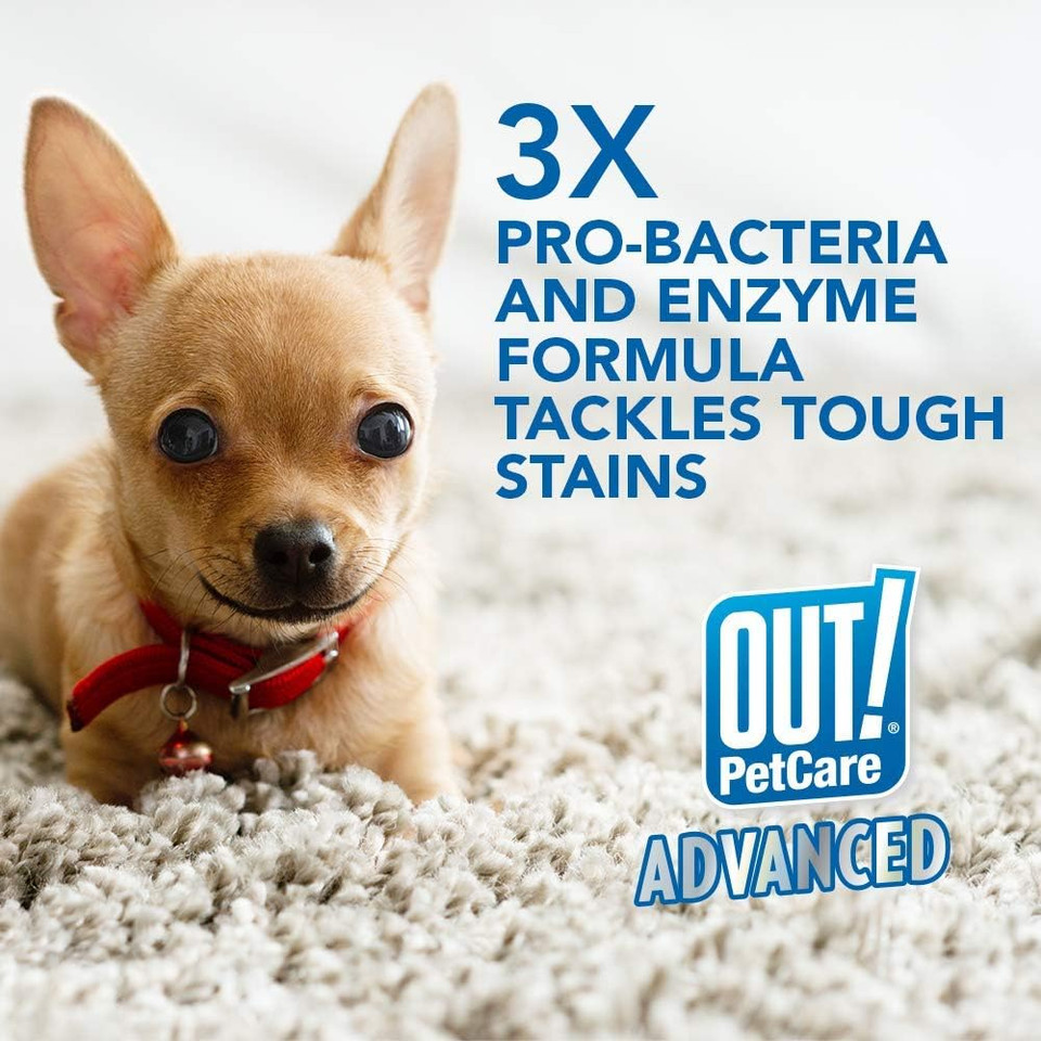 Out! Petcare Advanced Stain And Odor Remover | Pro-Bacteria And Enzyme Formula For Tough Stains And Odor | 32 Oz (Pack Of 2)
