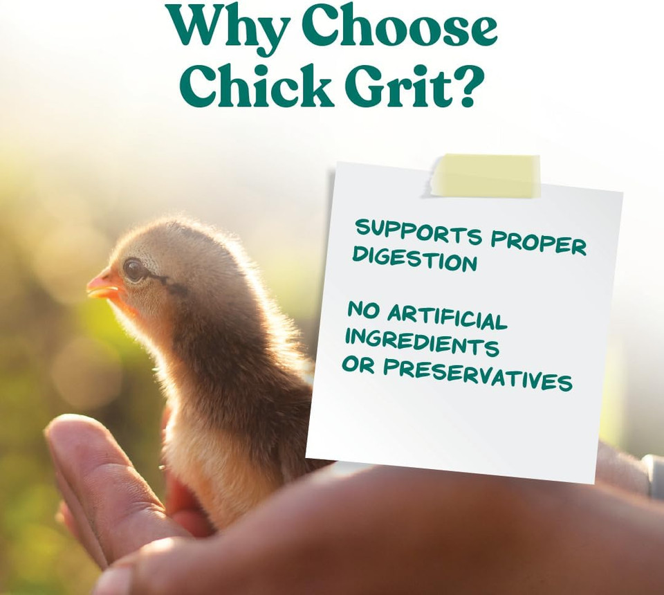 Manna Pro Chick Grit With Probiotics | Formulated With Probiotics And Supports Healthy Digestion | 5 Pounds