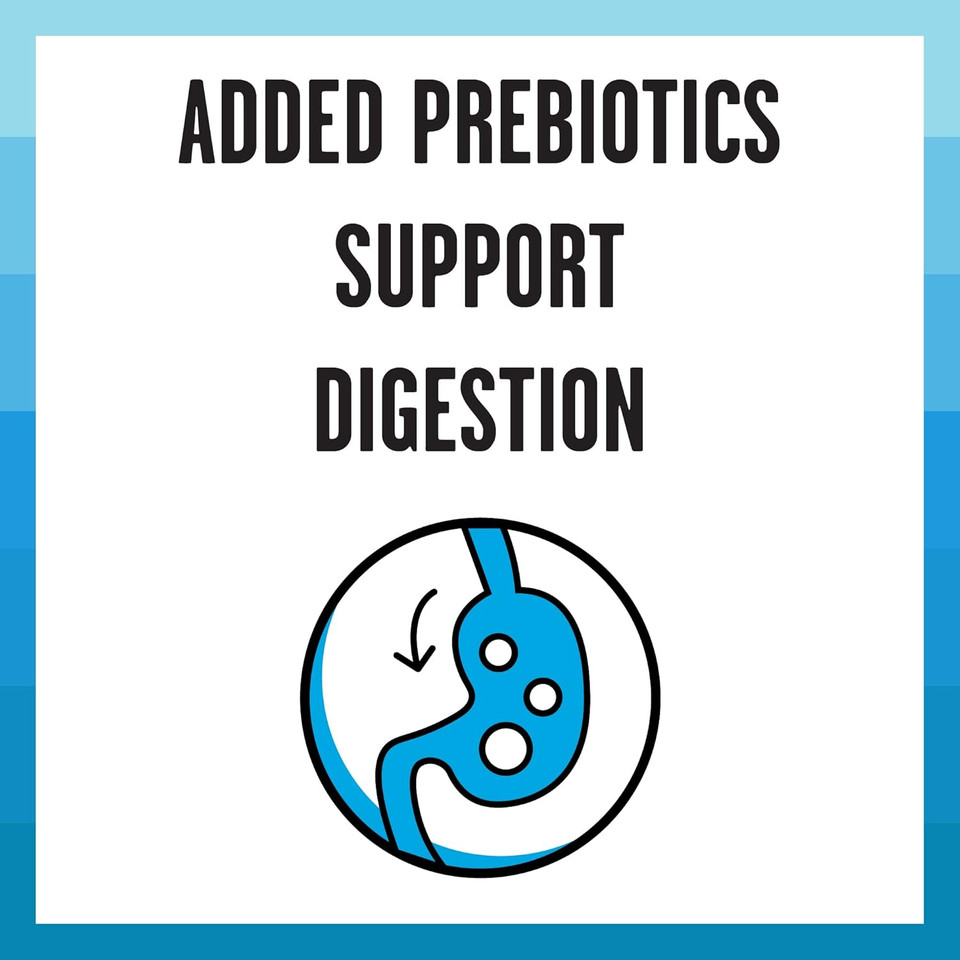 Bixbi Rawbble Dry Food Chicken Salmon Recipe For Indoor Cats, 3Lb