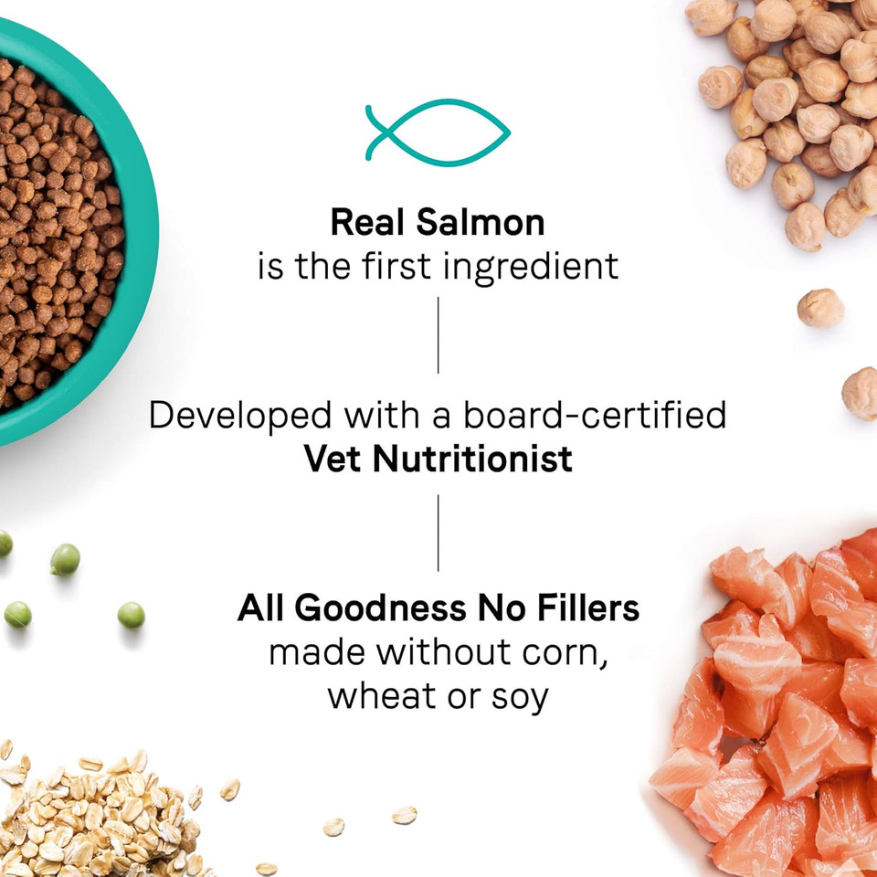 Canidae Goodness For Skin And Coat, Premium Adult Dry Cat Food With Real Salmon, 10 Lbs