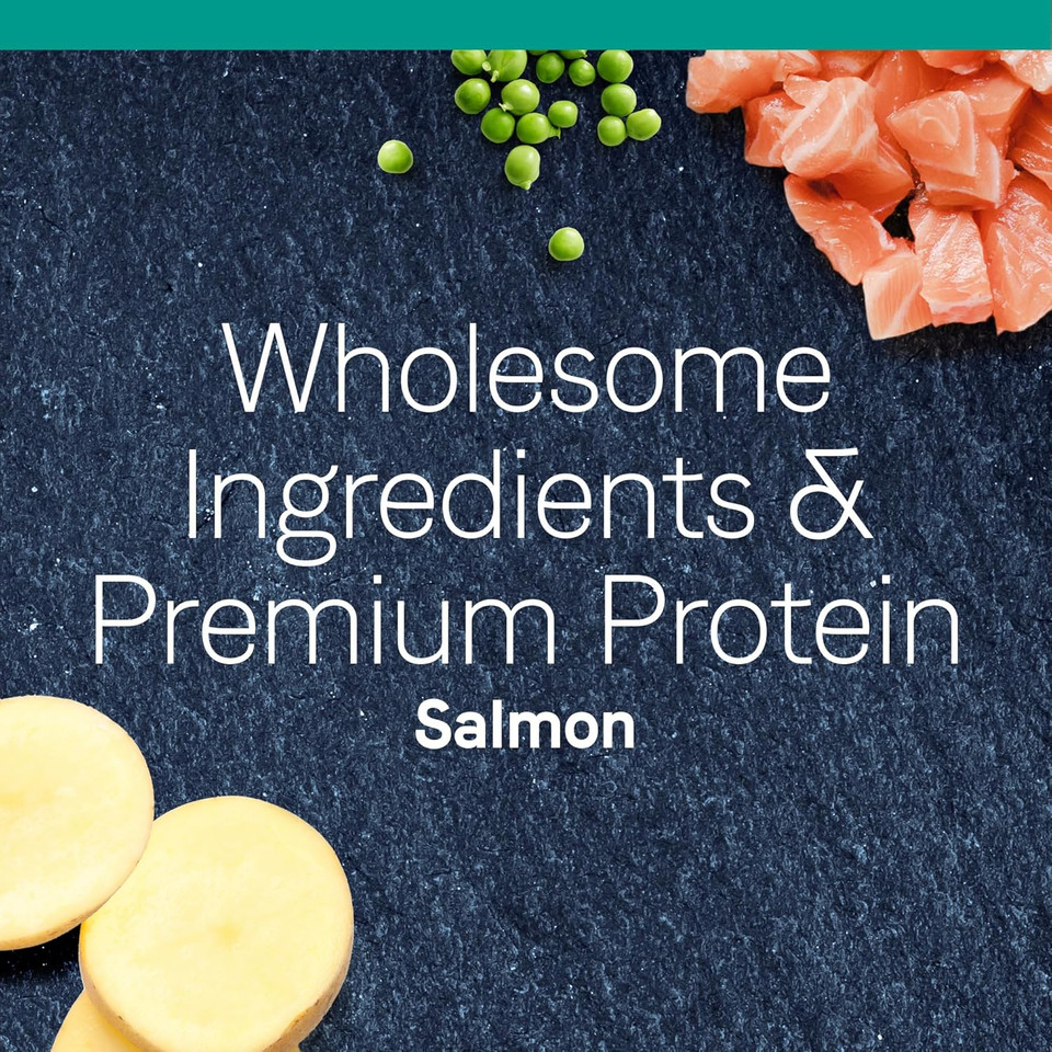 Canidae Pure Limited Ingredient Premium Dry Cat Food, Real Salmon Recipe, 5 Lbs, Grain Free