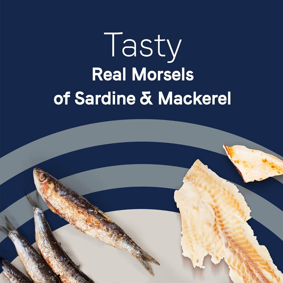 Canidae Pure Wet Cat Food, Sardine & Mackerel In Broth, 2.46 Oz