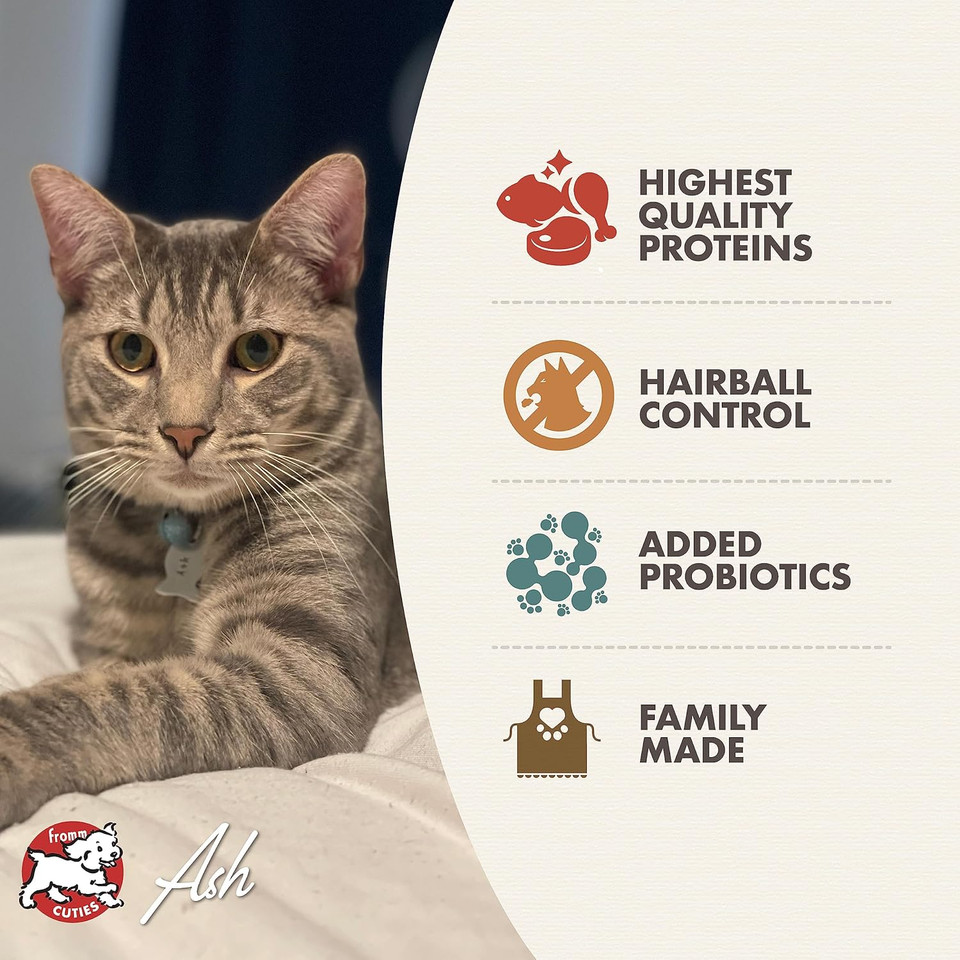Fromm Indoor Cat Gold Dry Cat Food - Hairball Management Cat Food For Adult Cats - Chicken Recipe - 4 Lb