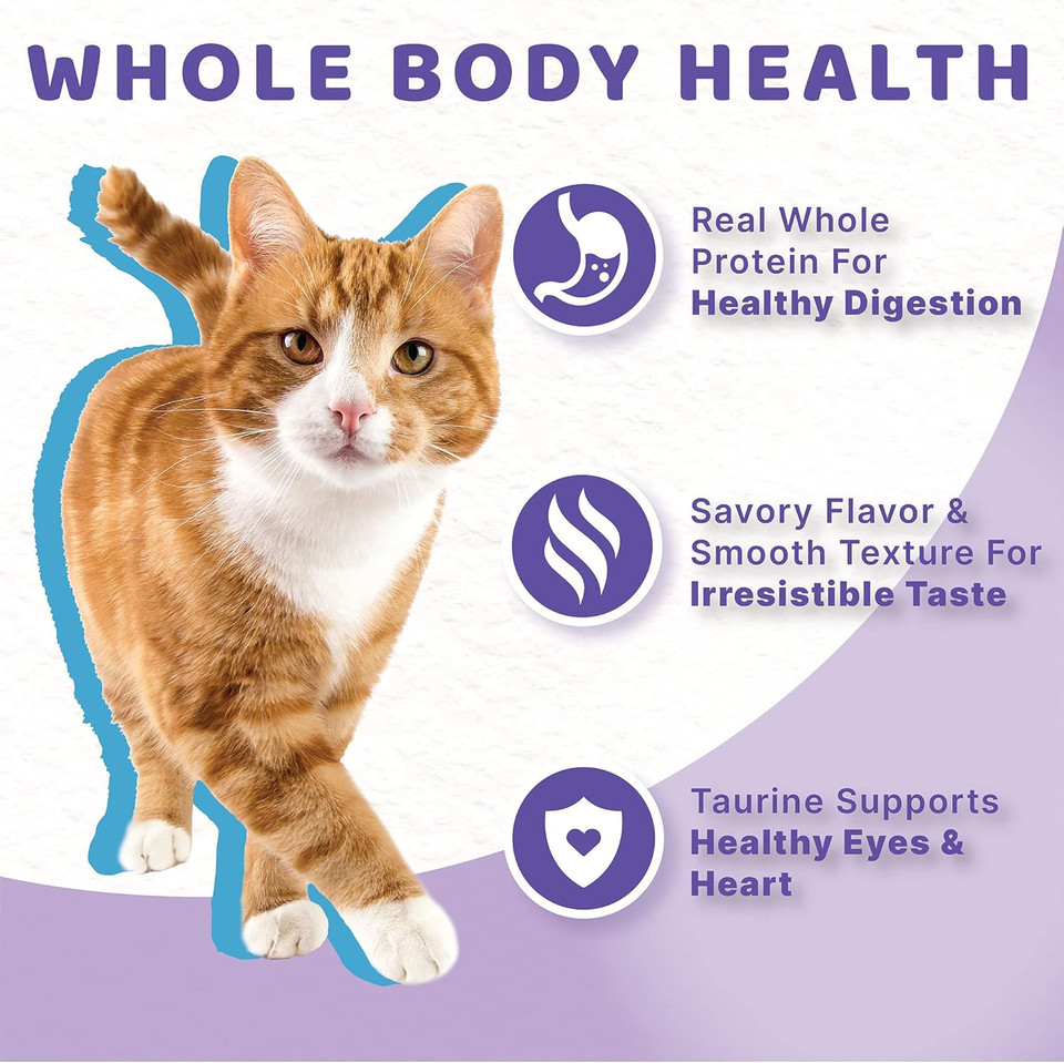 Halo Indoor Wet Cat Food, Grain Free, Seafood Medley 5.5Oz Can (Pack Of 12)