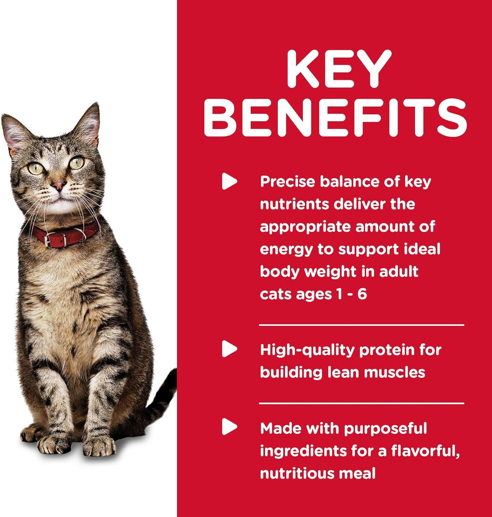 Hill'S Science Diet Adult 1-6, Adult 1-6 Premium Nutrition, Wet Cat Food, Salmon Minced, 5.5 Oz Can, Case Of 24