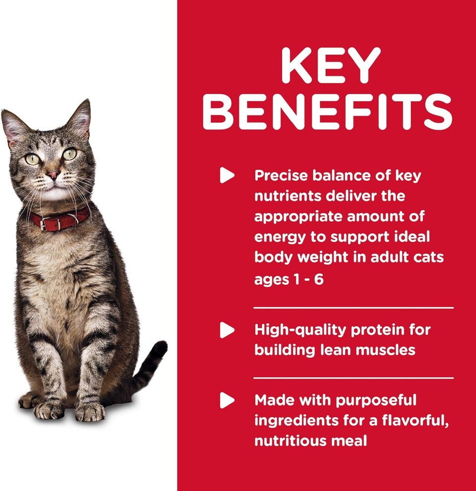 Hill'S Science Diet Adult 1-6, Adult 1-6 Premium Nutrition, Wet Cat Food, Turkey Minced, 5.5 Oz Can, Case Of 24