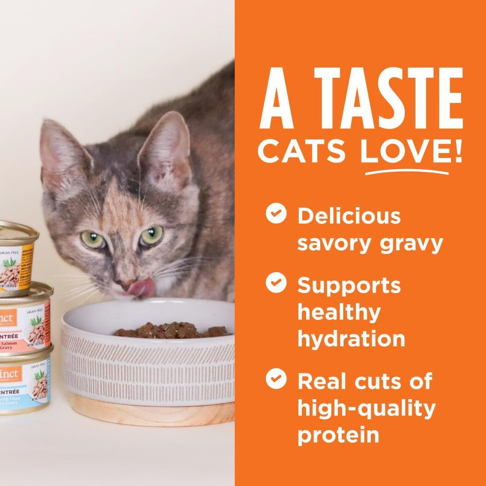 Instinct Flaked Rabbit Entrã£Â©E Wet Cat Food - 3 Ounces, 24 Pack