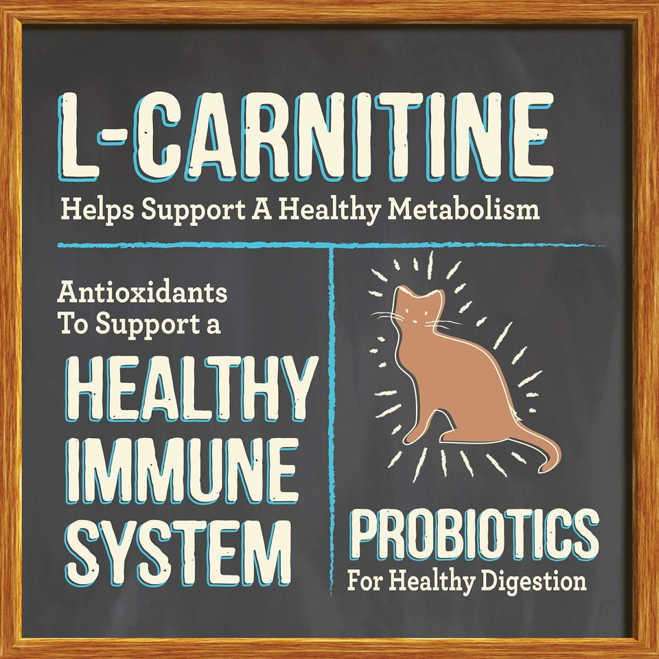 Merrick Purrfect Bistro Grain Free Natural Dry Cat Food For Adult Cats, Complete Care Weight Control Recipe - 7 Lb. Bag