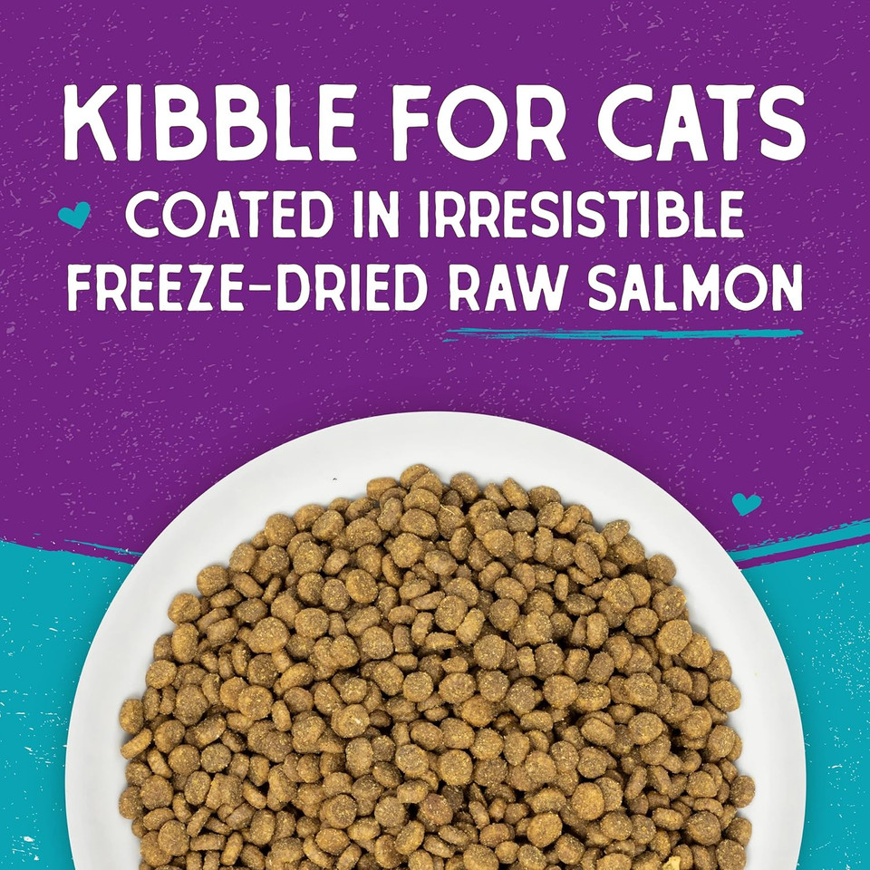 Stella & Chewy'S Raw Coated Premium Kibble Cat Food  Grain Free, Protein Rich Meals  Wild Caught Salmon Recipe  10 Lb. Bag