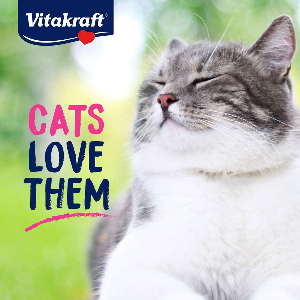Vitakraft Souprise Snack Wet Cat Treat - Salmon - Lickable Treat Or Dry Cat Food Topper