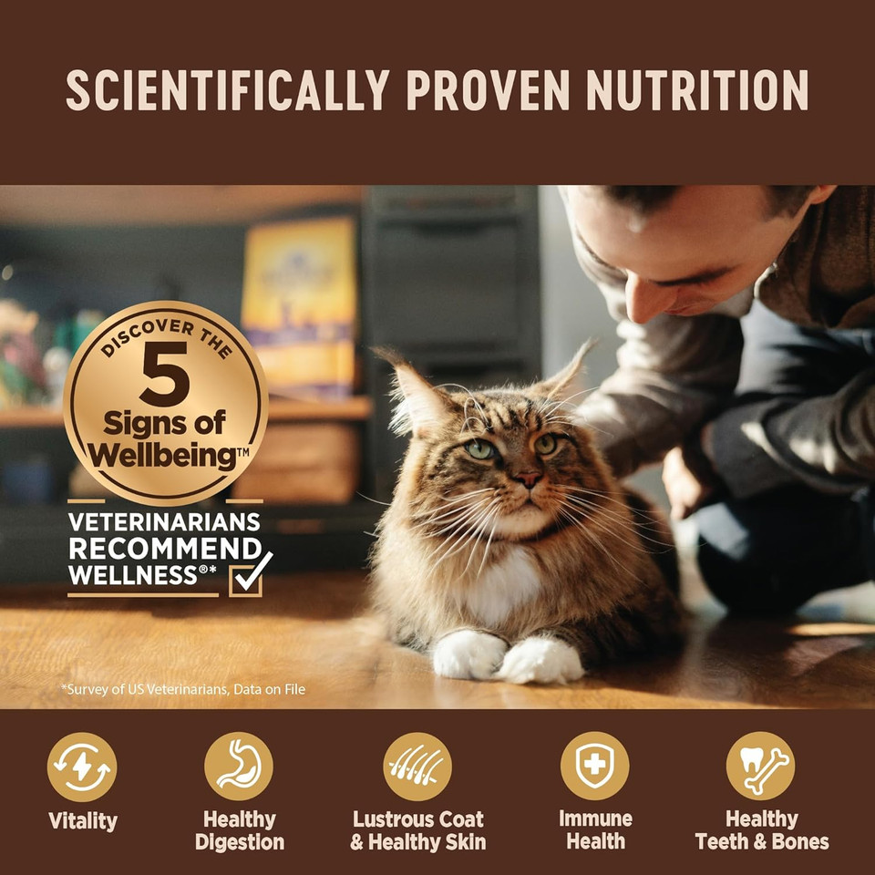 Wellness Core+ Grain Free High Protein Wet Canned Cat Food, Chicken & Chicken Liver Indoor Recipe, 3 Ounces (Pack Of 12)