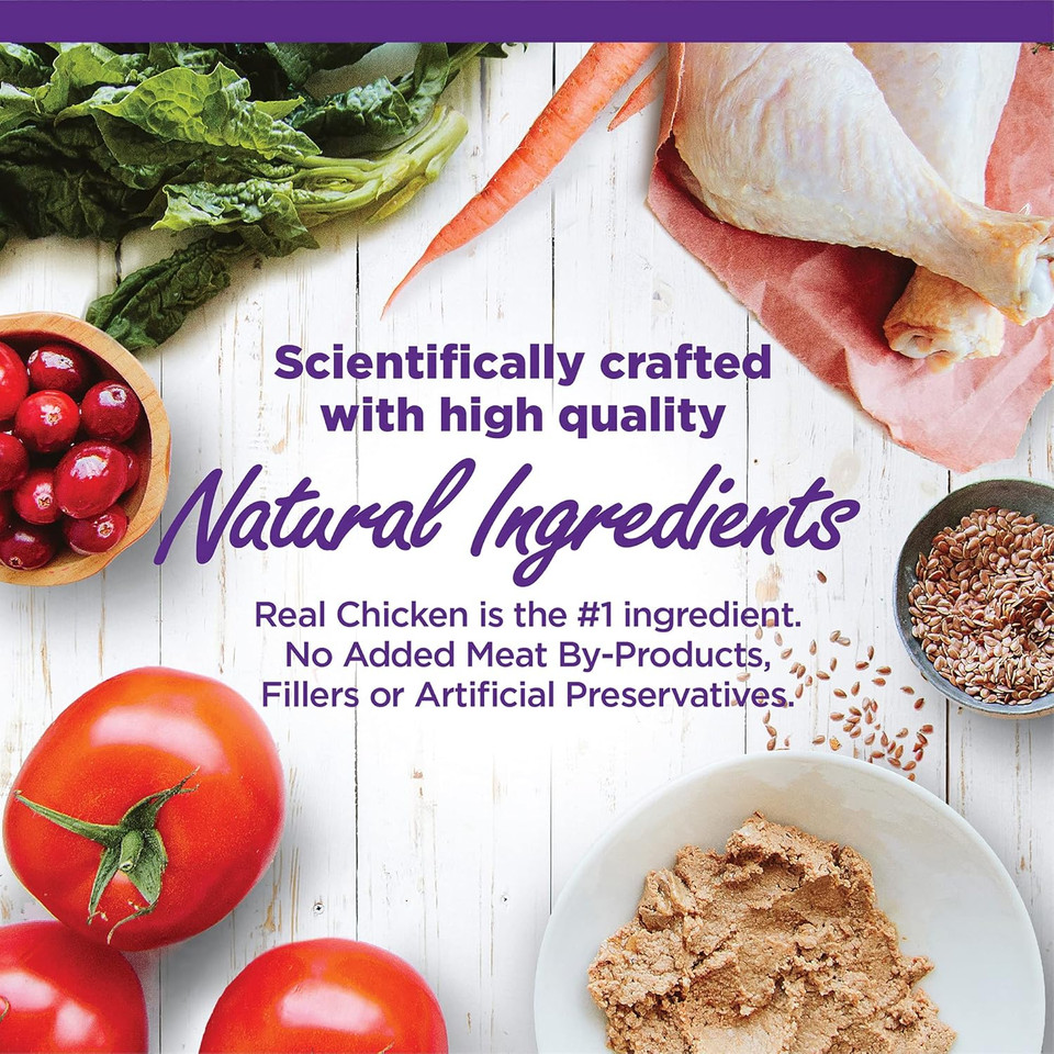 Wellness Complete Health Grain-Free Chicken Entrã£Â©E Wet Kitten Food - Natural Ingredients With Real Chicken, Brain Development Dha, Essential Fatty Acids And Eye Health Taurine, 3 Oz Cans (Pack Of 24)