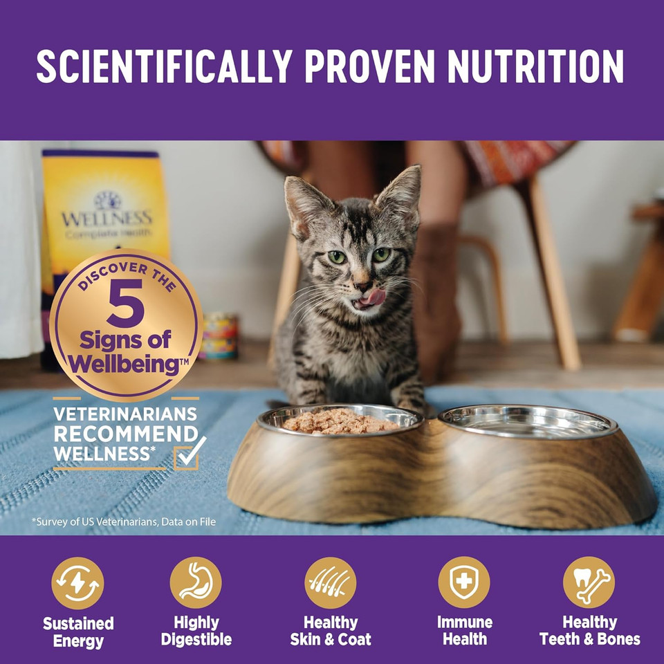 Wellness Complete Health Natural Grain Free Wet Canned Cat Food, Minced Chicken Dinner In Light Gravy, 3 Ounces (Pack Of 24)