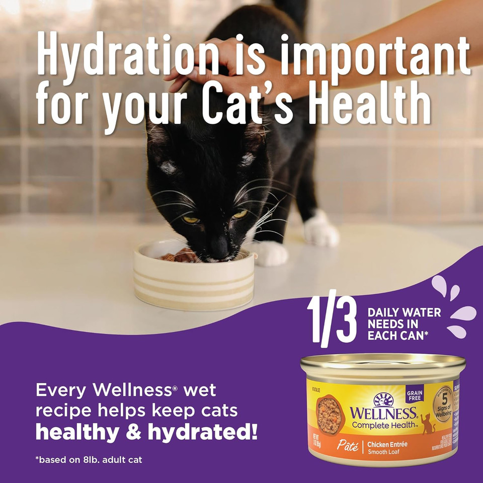 Wellness Complete Health Natural Grain Free Wet Canned Cat Food, Cubed Tuna Entrã£Â©E In Rich Gravy, 5.5-Ounce Can (Pack Of 24)