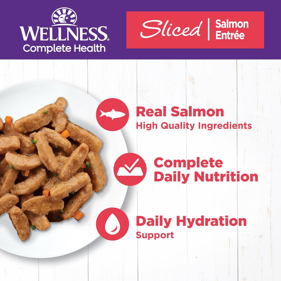 Wellness Natural Pet Food Wellness Complete Health Natural Grain Free Wet Canned Cat Food, Sliced Salmon Entree, 5.5 Ounce (Pack Of 24)
