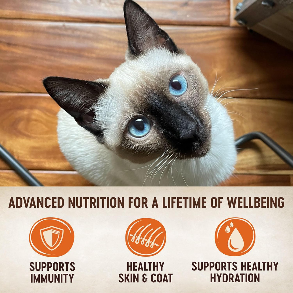 Wellness Core Tiny Tasters Wet Cat Food, Complete & Balanced Natural Pet Food, Made With Real Meat, 1.75-Ounce Pouch, 12 Pack (Adult Cat, Chicken & Turkey Pate)