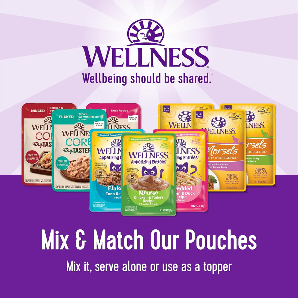 Wellness Core Tiny Tasters Wet Cat Food Topper, Grain Free, Complete & Balanced Nutrition Made With Real Meat, No-Mess Pouches, 12 Pack (Adult Cat, Seafood Variety Pack)
