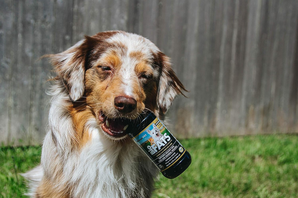 Biofats Omega 3-6-9 Fatty Acid With Epa & Dha, Supports Healthy Skin, Coat And General Wellness, 94-Day Supply For 80-Lb. Animal, 32-Fl. Oz. Bottle