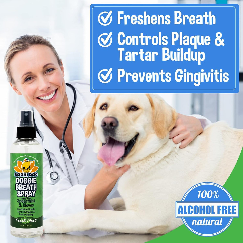 Bodhi Dog Large Natural Dog Breath Freshener For Dogs Teeth And Healthy Gums | Best For Tartar Cleaning, Plaque Remover & Fresh Dental Oral Care