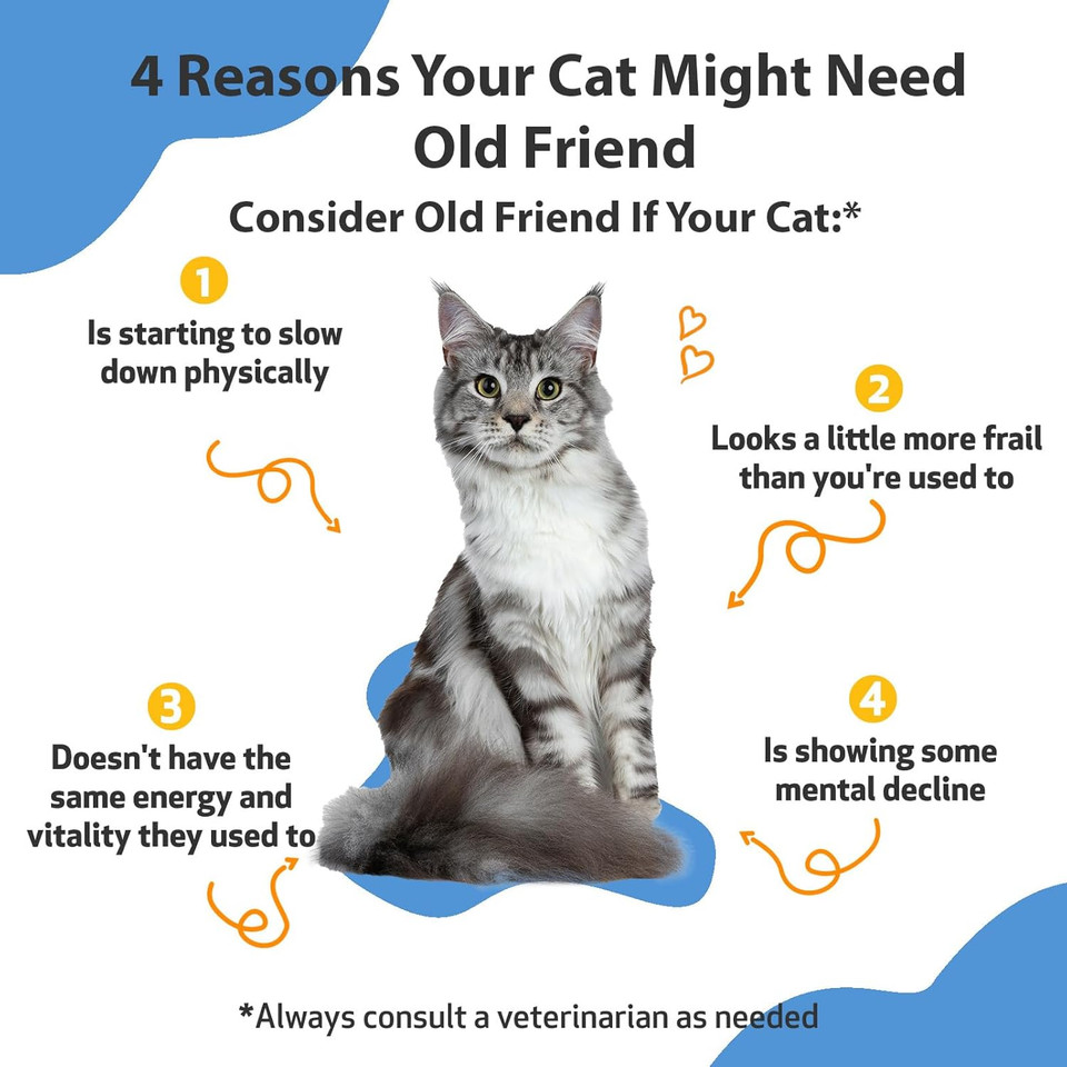 Pet Wellbeing Old Friend For Senior Cats - Vet-Formulated - Aging Immune System & Joint Mobility Support In Older Felines - Natural Herbal Supplement 2 Oz (59 Ml)