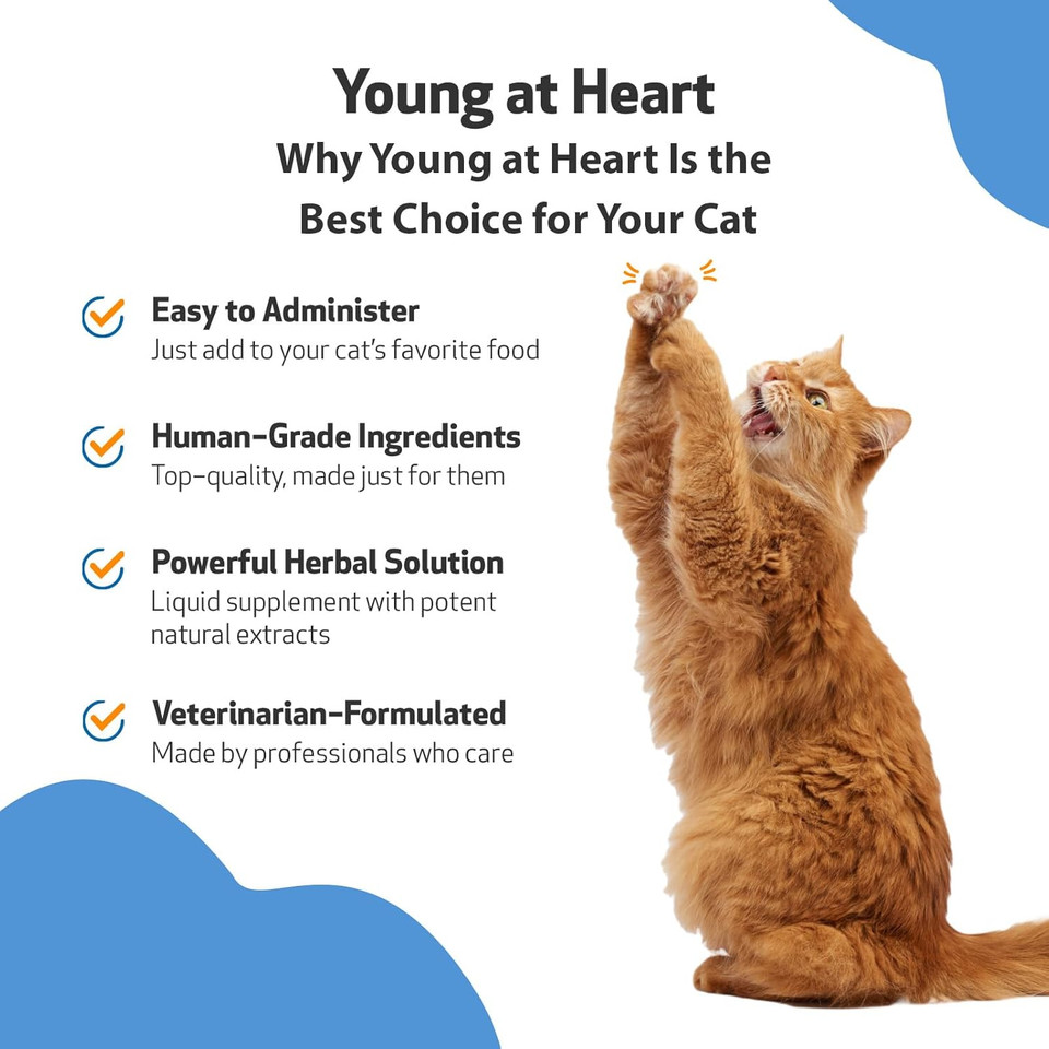 Pet Wellbeing Young At Heart For Cats - Vet-Formulated - Supports Cardiovascular System | Heart & Circulatory Health - Natural Herbal Supplement 2 Oz (59 Ml)