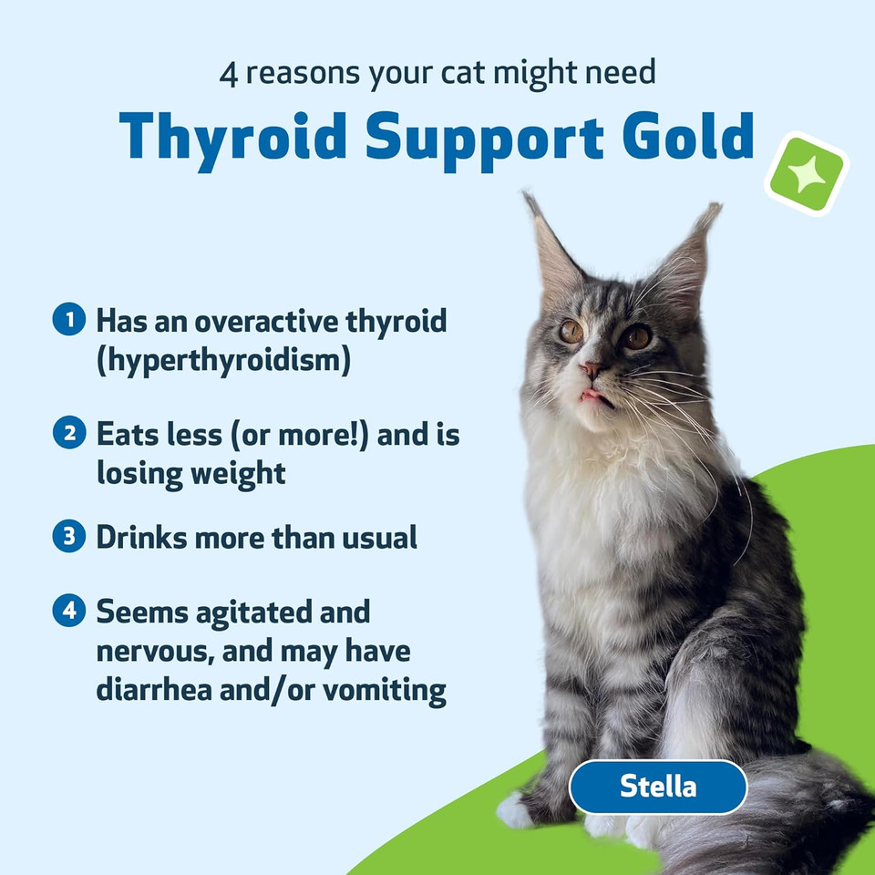 Pet Wellbeing Thyroid Support Gold For Cats - Vet-Formulated - Supports Overactive Thyroid In Felines - Natural Herbal Supplement 2 Fl Oz (59 Ml)