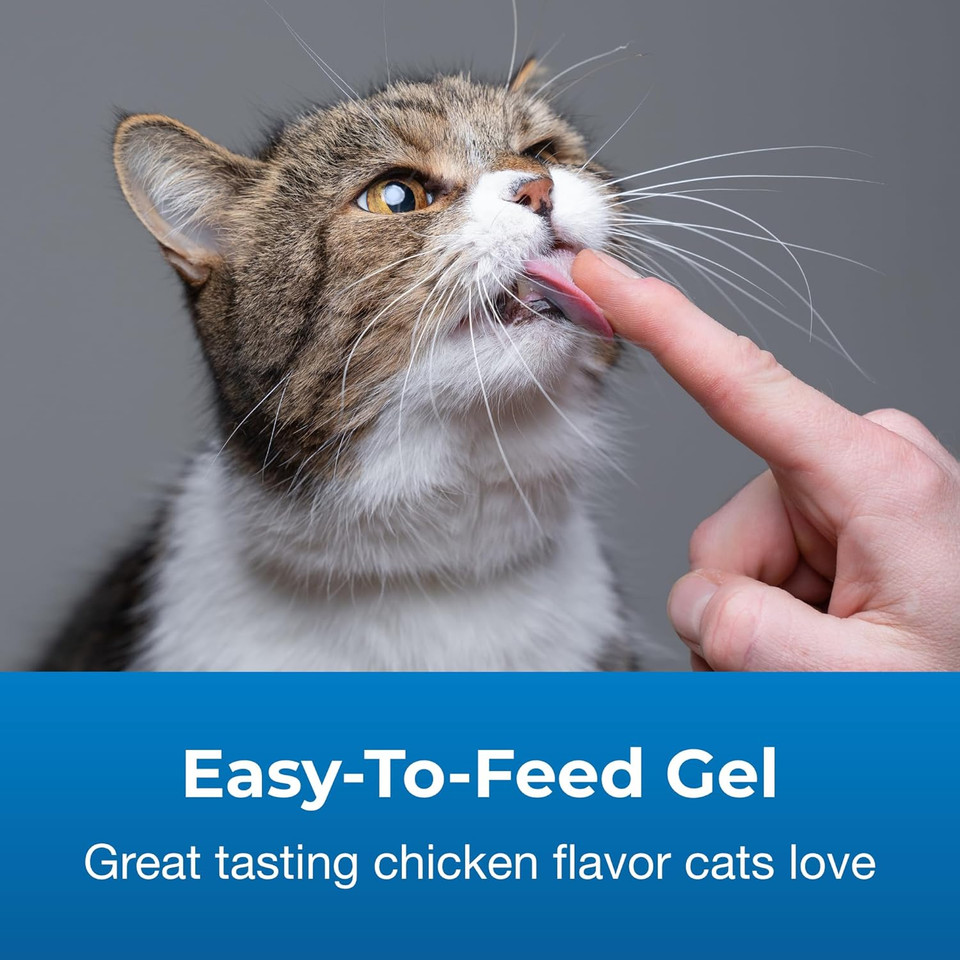 Petag Hairball Natural Solution Gel Supplement For Cats - 3.5 Oz - Helps Prevent And Reduce Hairballs In Cats 6 Months And Older - Petrolatum Free