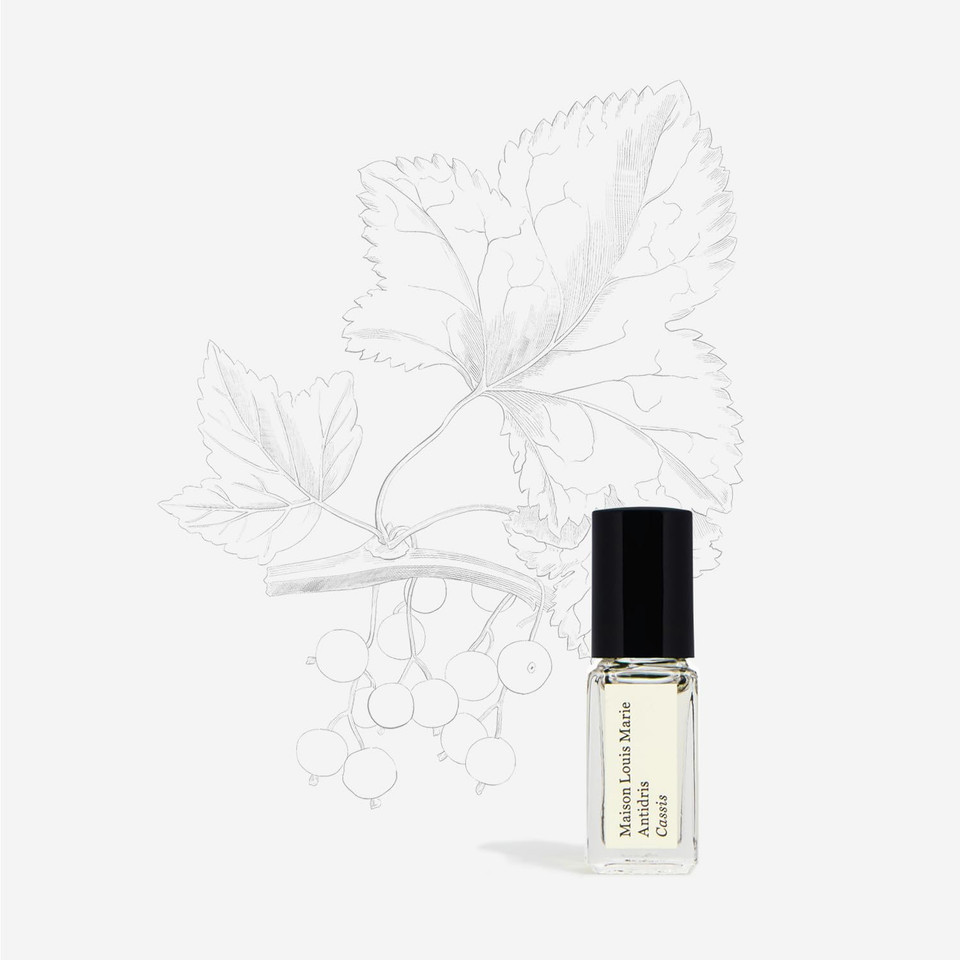 Maison Louis Marie - Antidris Cassis Natural Roll-On Perfume Oil Sample | Luxury Clean Beauty + Non-Toxic Fragrance (0.1 Fl Oz | 3 Ml)