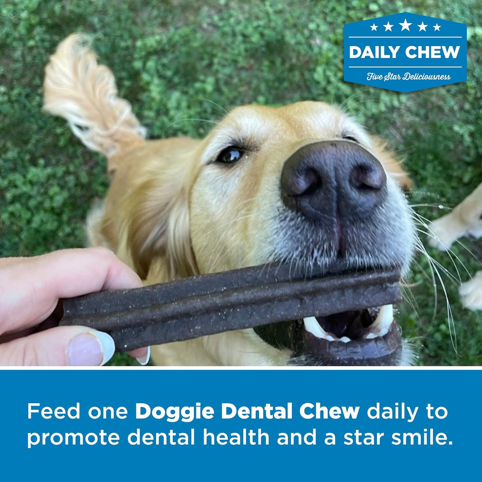 Best Bully Sticks All-Natural Doggie Dental Chews - Star Shaped Beefy Dental Chews - Limited Ingredient, Collagen, Real Beef, 100% Digestible - Promotes Dental Hygiene And Health - 6 Pack