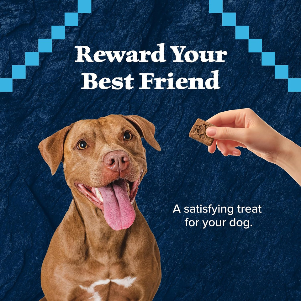Blue Buffalo Wilderness Trail Treats Crunchy Dog Biscuits Grain-Free And High-Protein Dog Treats, Turkey Recipe 36-Oz. Box