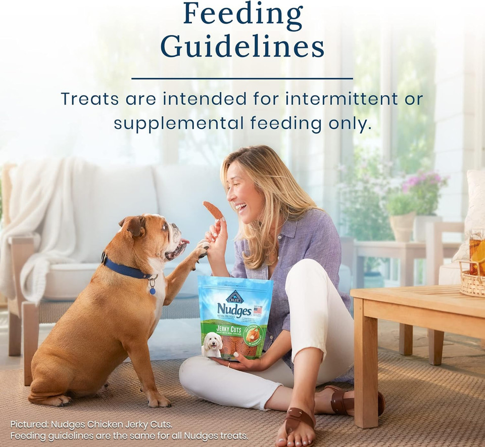 Blue Buffalo Nudges Jerky Chews Natural Dog Treats Small Breed, Beef, 10Oz Bag, 10 Count