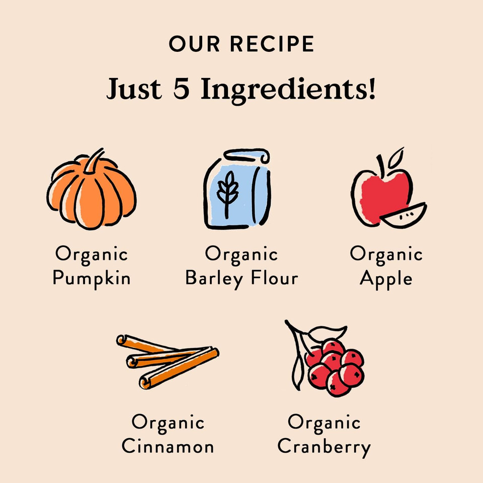 Bocce'S Bakery All-Natural, Small Batch, Organic Dog Treats, Pumpk'N Harvest Biscuits, Wheat-Free, Limited-Ingredient, Made In The Usa With 100% Recyclable Packaging, 12 Oz Bag (Dg-Bc-Pkh)