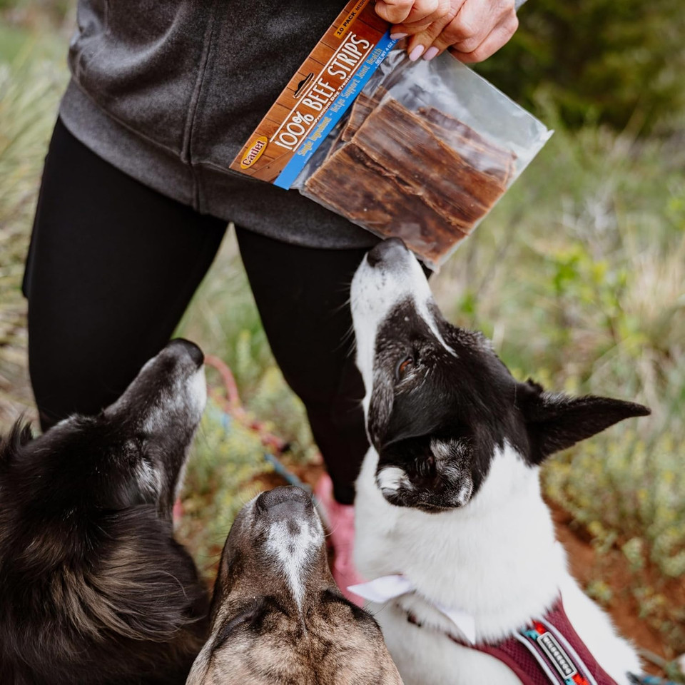 Cadet 100% Beef Strips Dog Treats - Long-Lasting, Healthy & Natural Beef Esophagus Treats For Small & Large Dogs - Low Calorie & High Protein Dog Chews, Medium (4 Count)