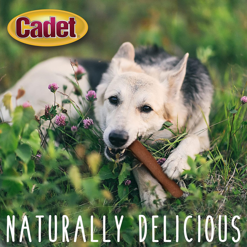 Cadet Gourmet Savory Duck Rolls Dog Treats - Healthy & Natural Duck Dog Treats For Small & Large Dogs - Rawhide Alternative - Inspected & Tested In Usa, 7 In. (2 Count)