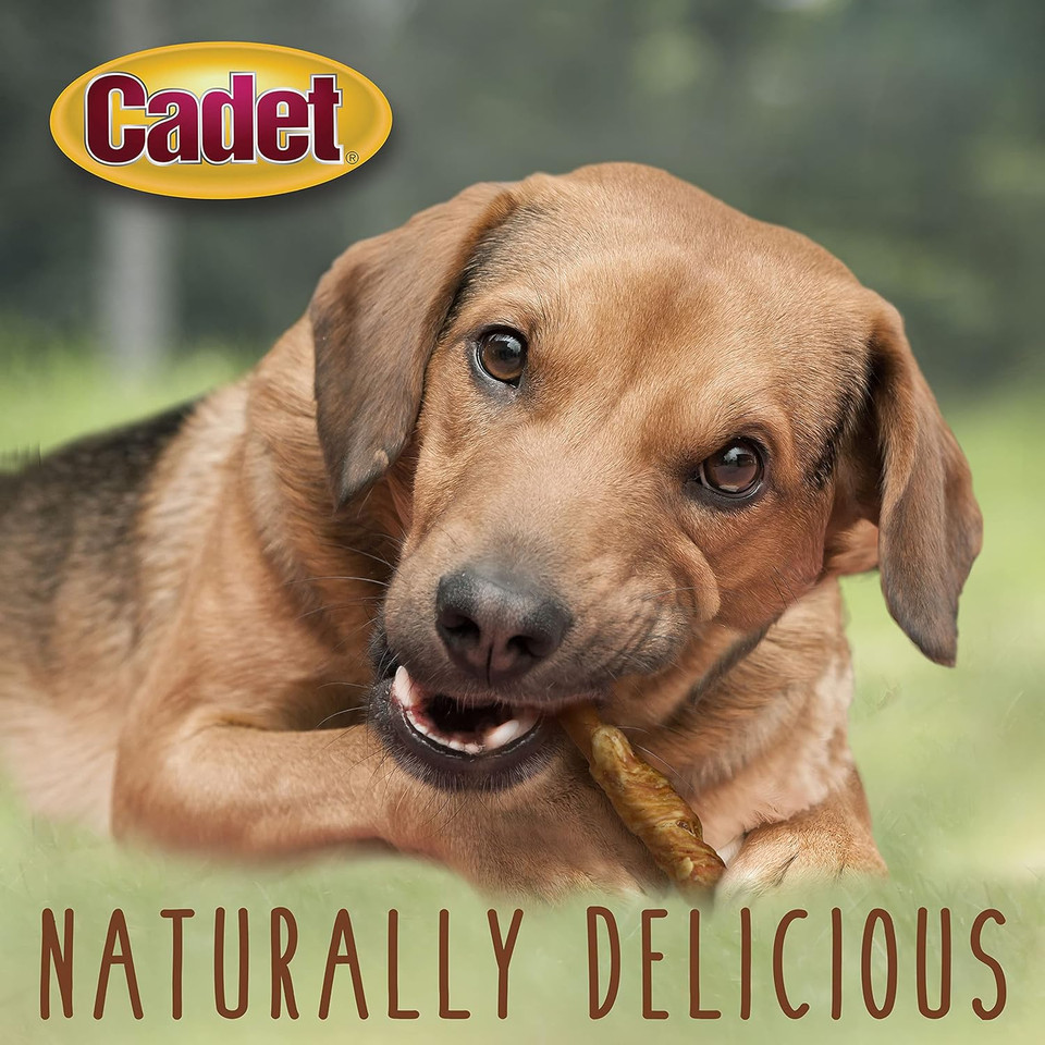 Cadet Gourmet Beef Hide Twist Chew Sticks, Long Lasting & Natural Chew Treats For Dogs, Inspected & Tested In Usa, Chicken Flavor (22 Count)